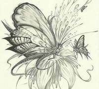 Бабочка, мотылек эскизы фото тату - Татуировки эскизы значение надписи